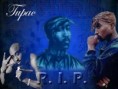 /album/foto/tupac-shakur-wallpaper-3-jpg1/